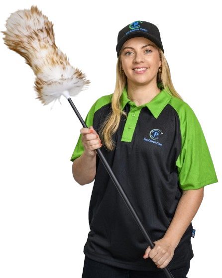 Professional cleaning services showcasing our expertise and quality